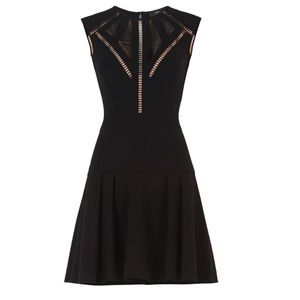 BCBG MAXAZRIA Aynn Embroidered Sheer-Trim Dress